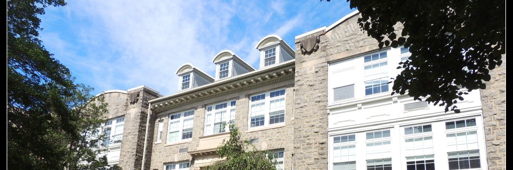 Dr. Jason Vivadelli banner