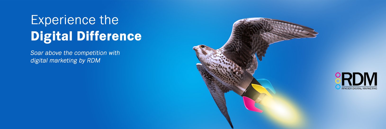 RDMNigeria's profile banner image