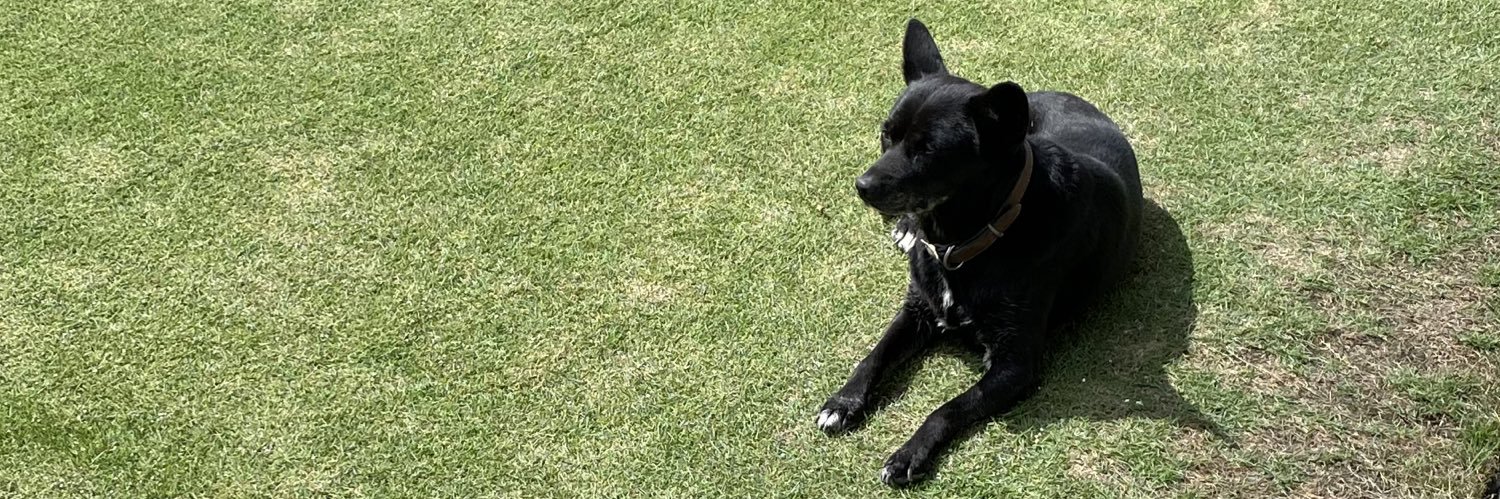 燐@初回ツイフィ必読 banner