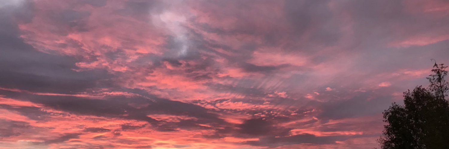 THEKencho62's profile banner image