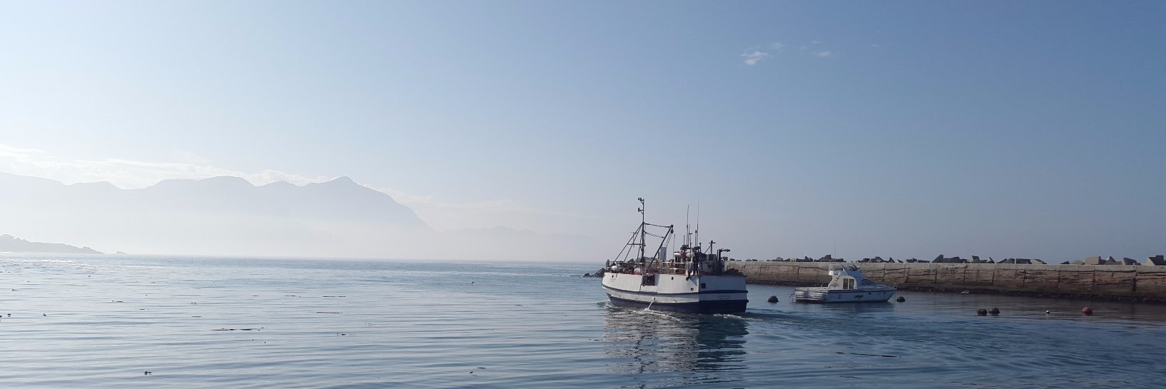 explorehermanus's profile banner image