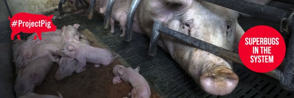 ajpReact Profile Banner