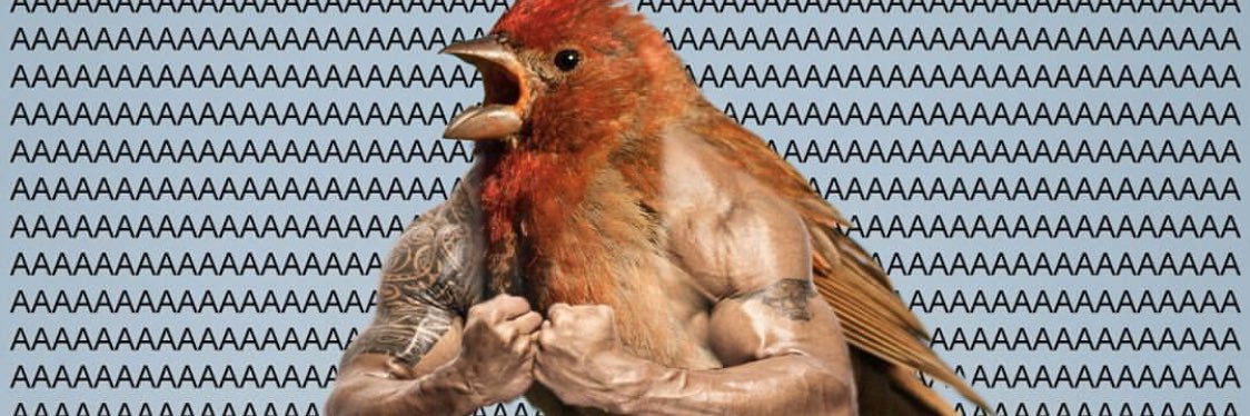 tweetermanjay1's profile banner image