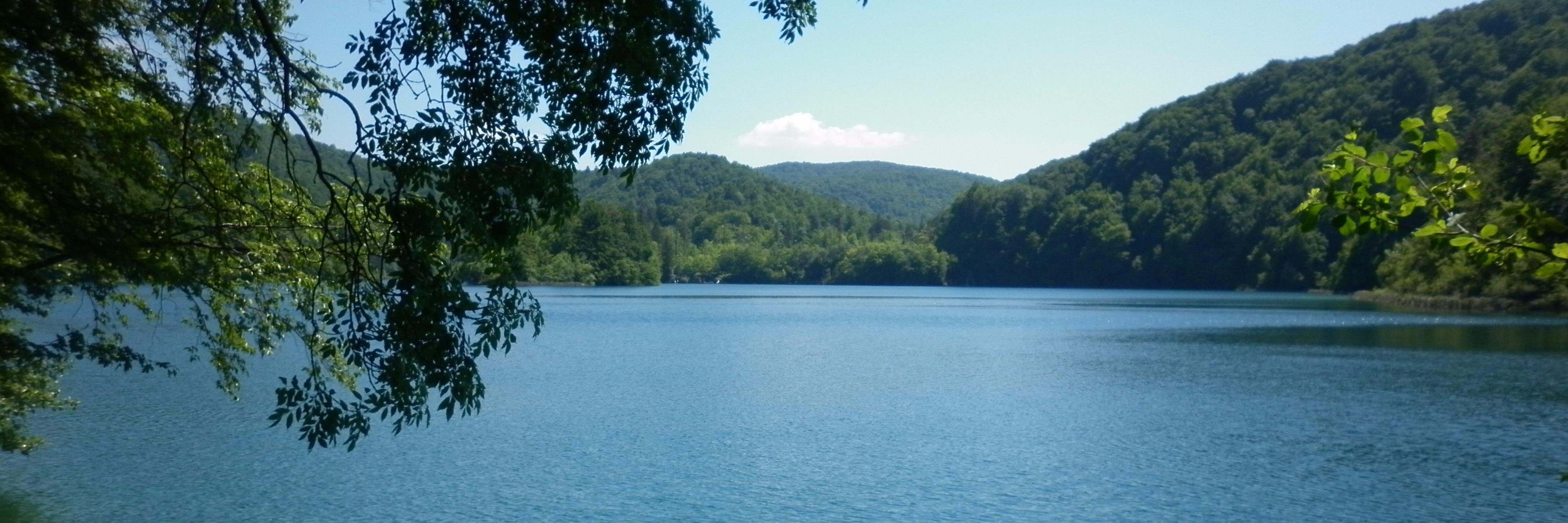 Mark Bozinovic banner