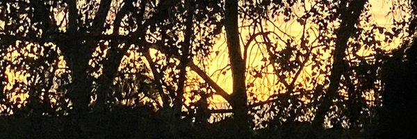 oneofthewilsons Profile Banner