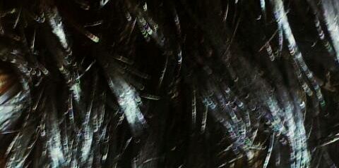 DreamsAreFake's profile banner image