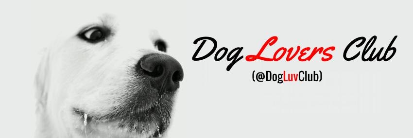 DogLuvClub's profile banner image