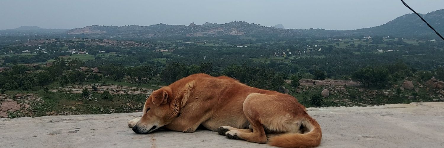 NameisJaY143's profile banner image