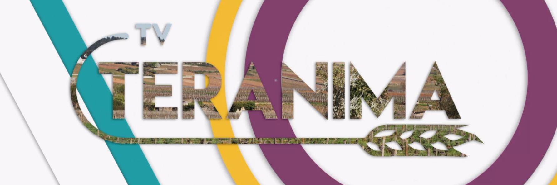 Teranima's profile banner image