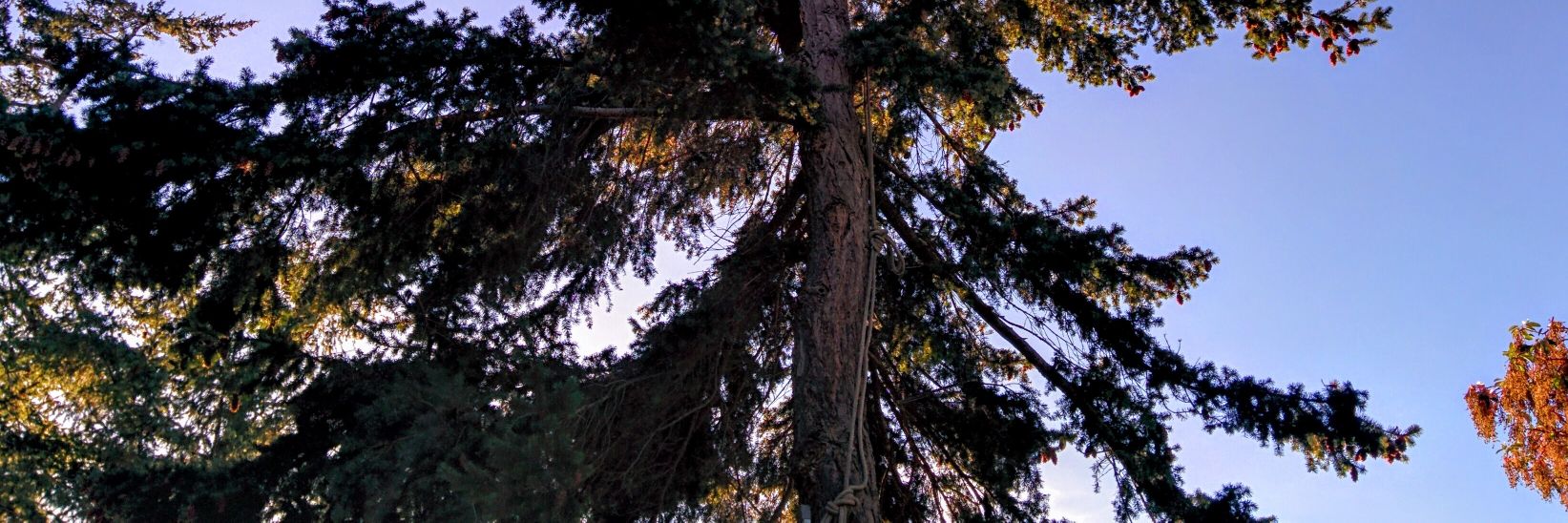 jackodess's profile banner image