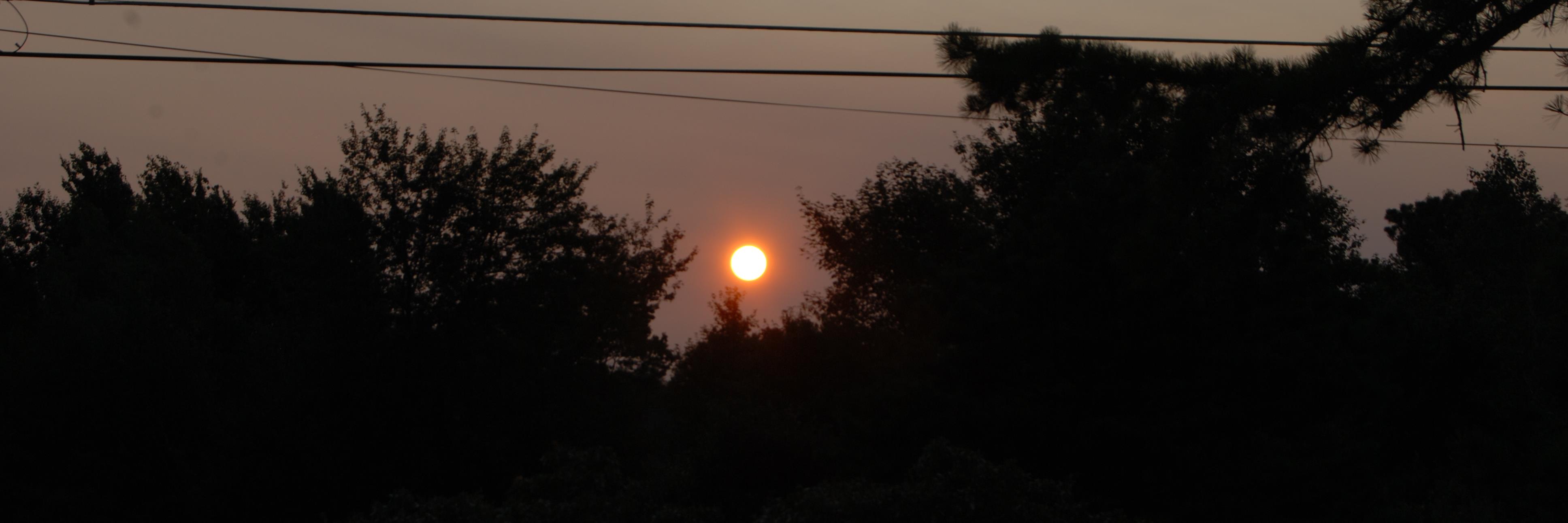 reen_reenie's profile banner image