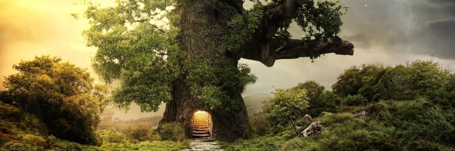 TRGarris's profile banner image