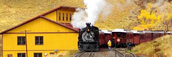 metadigs Profile Banner