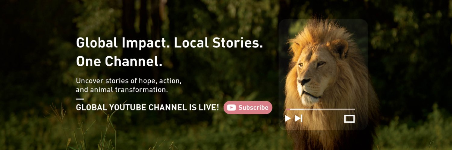 FOURPAWSUSA's profile banner image