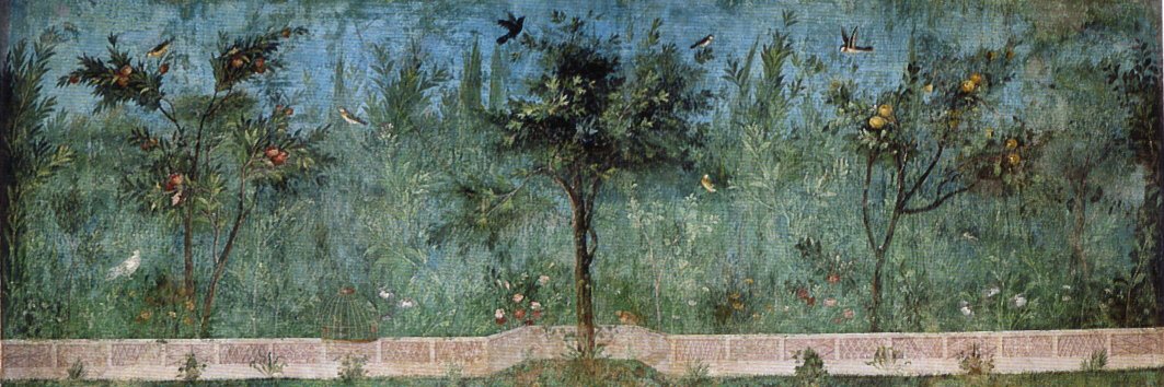 Callimaque 🇫🇷 banner