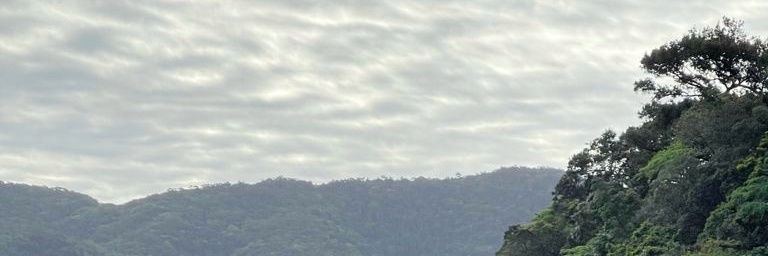 viniciusmpo's profile banner image