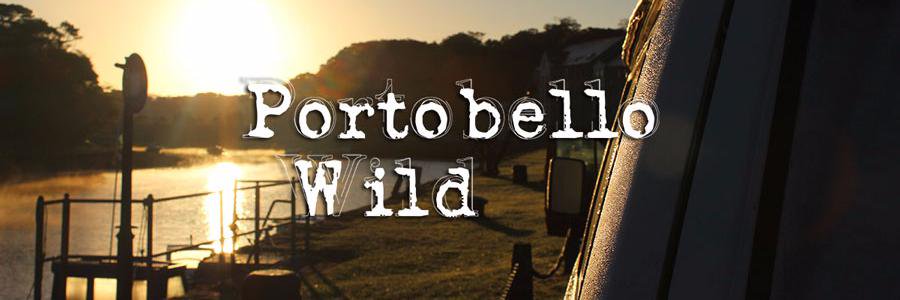 portobellowild's profile banner image