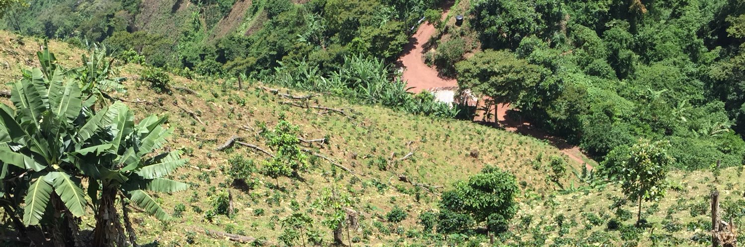 Wilson Rincon Alvarez banner