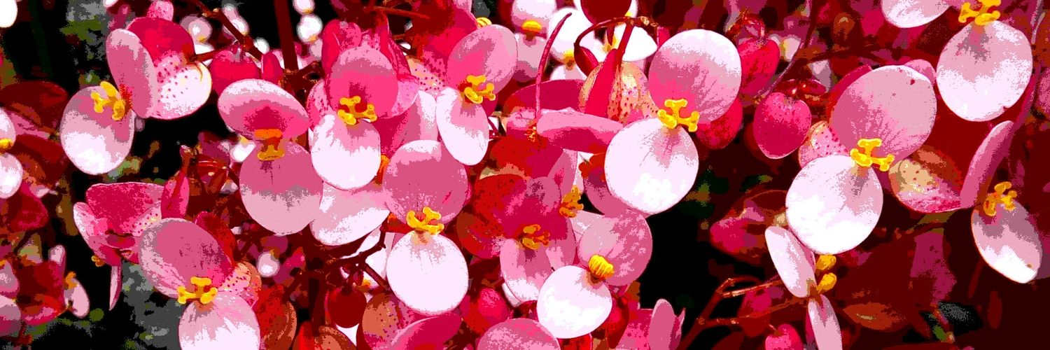 BEMERPO's profile banner image