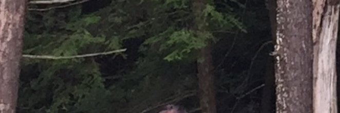 GMattyG's profile banner image