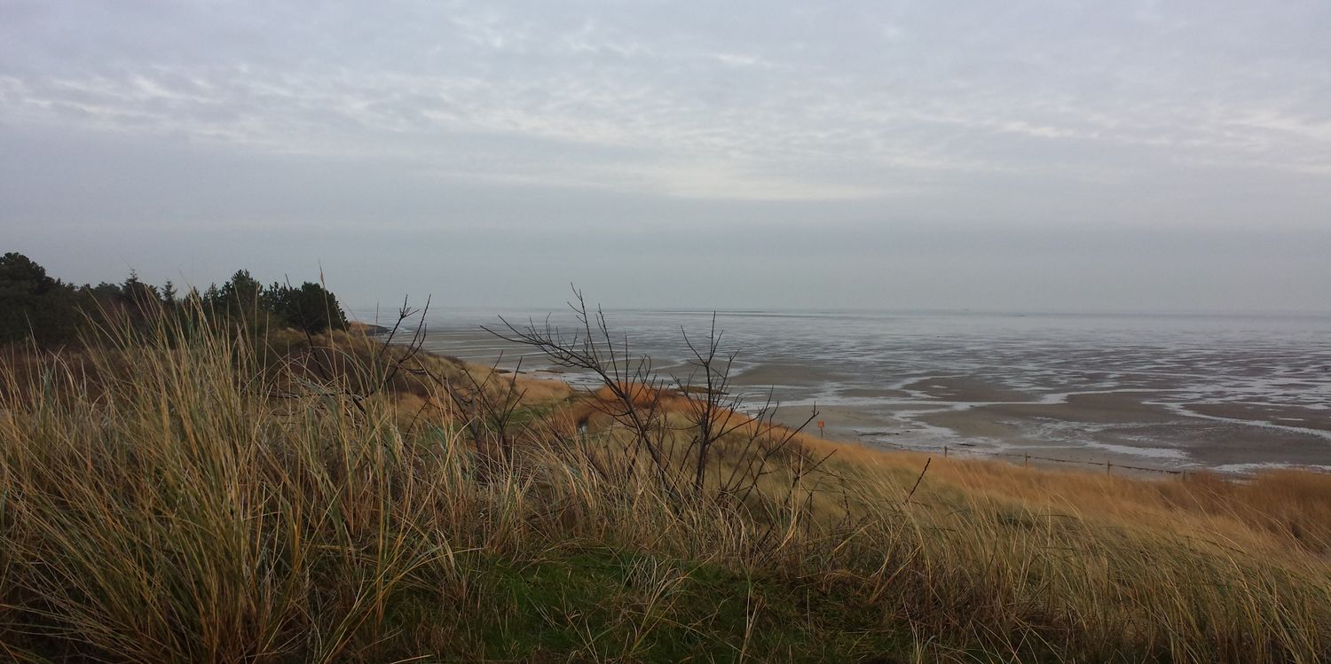 Joyce de Haan banner