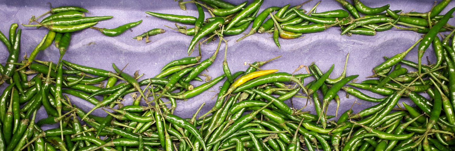 Warriorlily's profile banner image