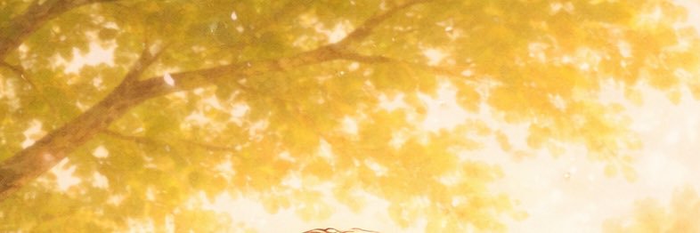 abc_hidekazu's profile banner image