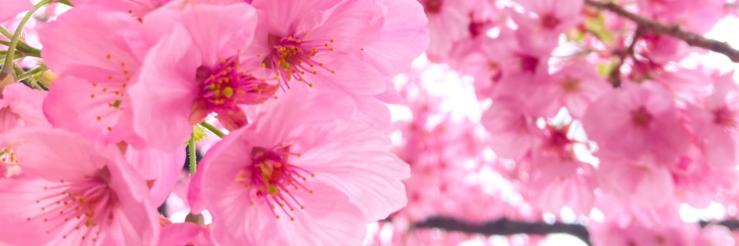 2_apple21's profile banner image
