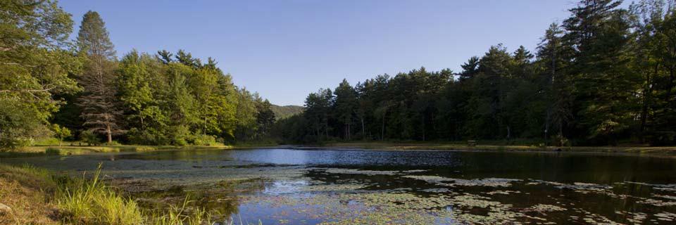 لهفة 💥💥 banner