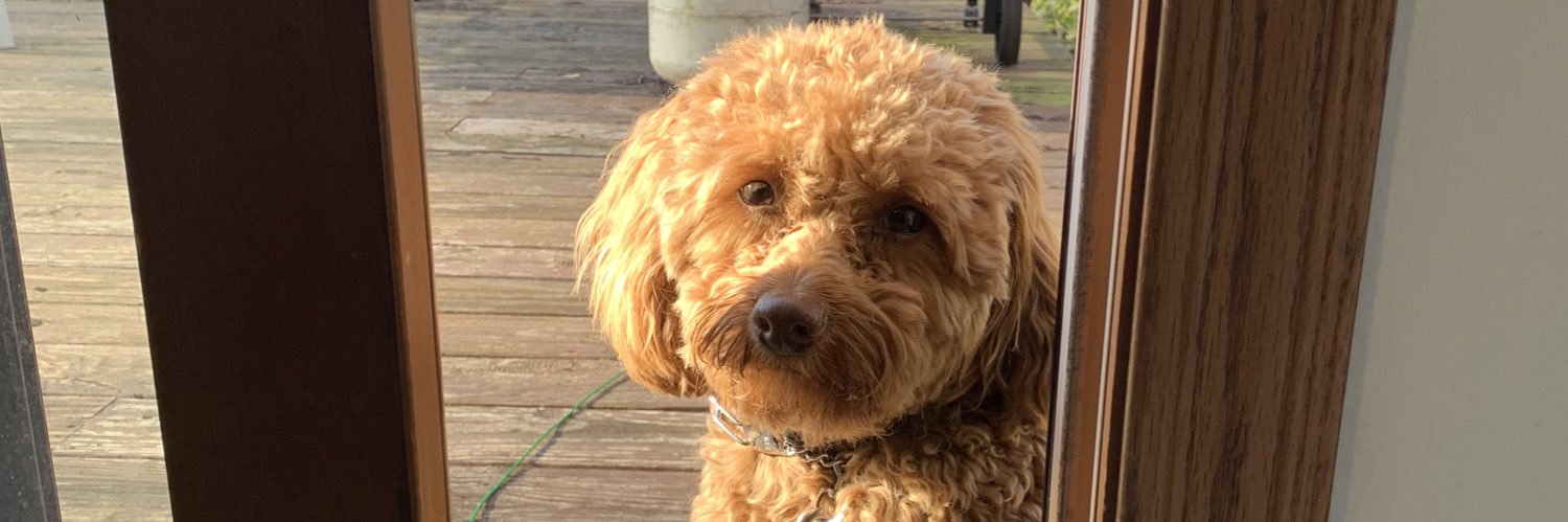 Yogi78's profile banner image