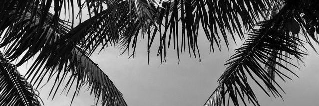 frenchxstyles's profile banner image