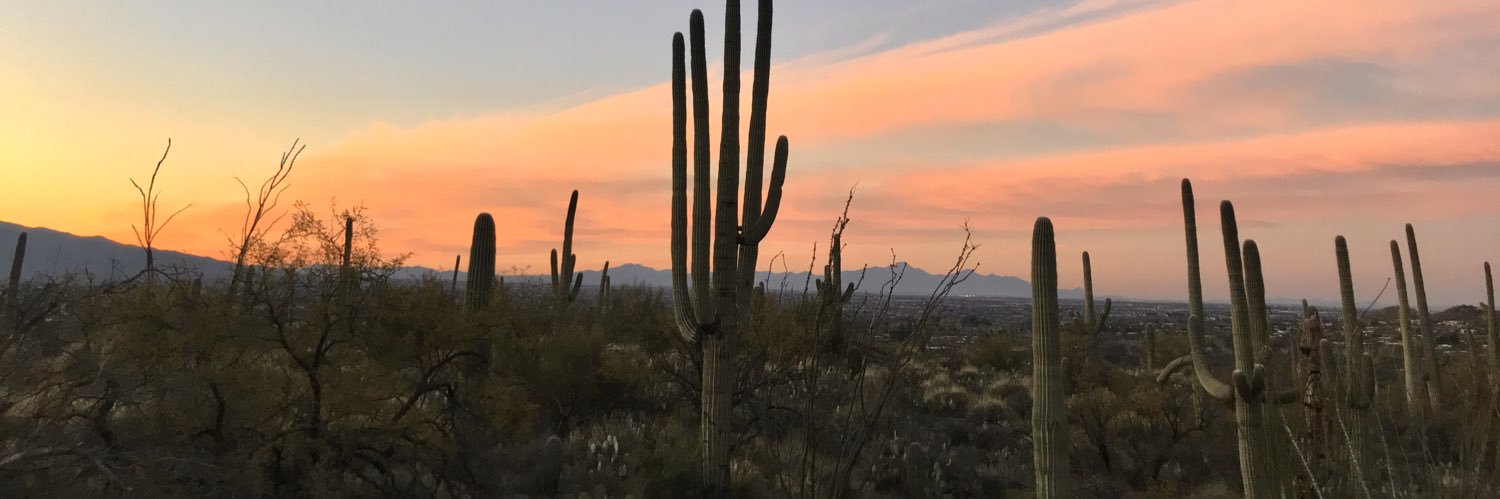 xxKaybaybee's profile banner image