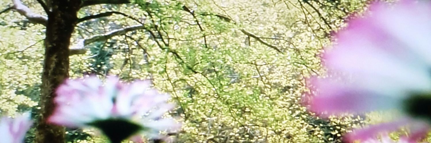 _Nina_V's profile banner image