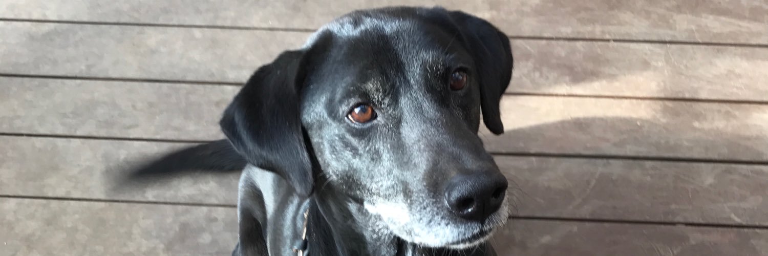 laugh_make23's profile banner image