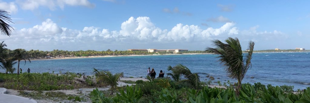 Mrs. Robertson banner