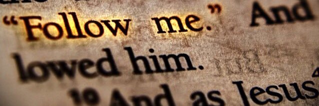 StudywFriends banner