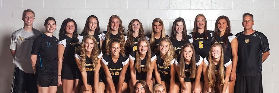 Ville Volleyball banner