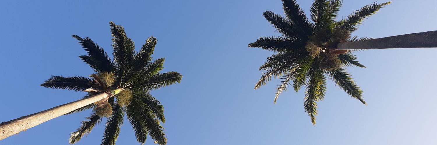 CariFontes's profile banner image