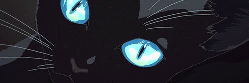 bleubz's profile banner image