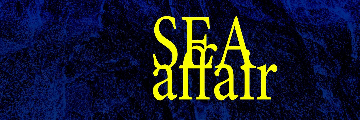 Surfcity Festival banner