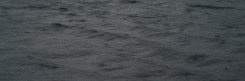 Ralph Pritchard banner