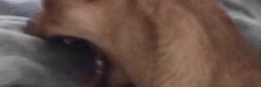 The_Papa_Sam's profile banner image