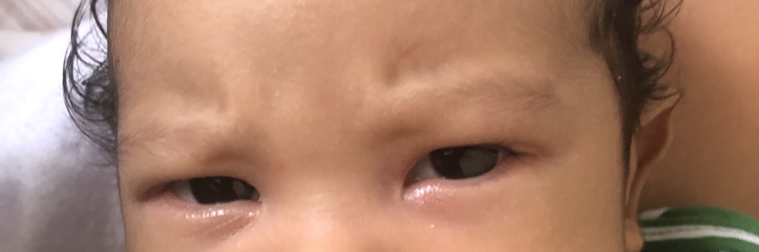 LiviaRodry's profile banner image