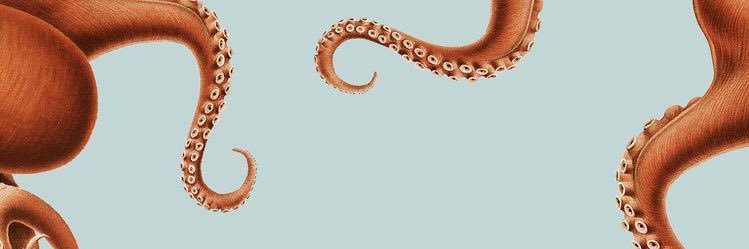 chloedarling_'s profile banner image