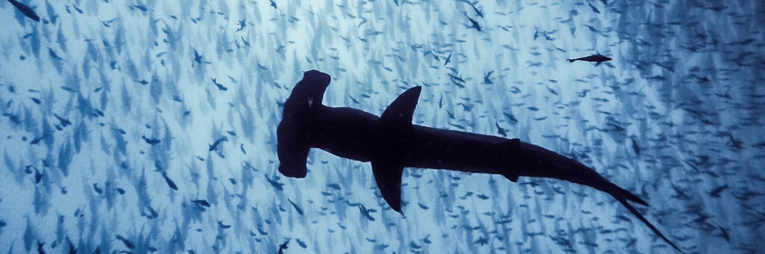 Dr. Cesar Peñaherrera P. banner