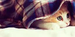 maseera0's profile banner image