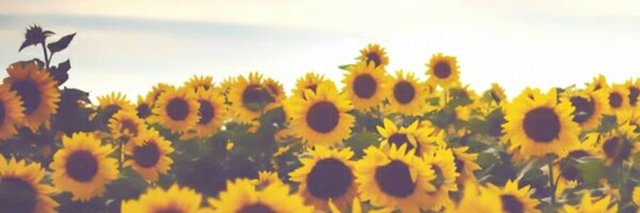 __kmpr's profile banner image
