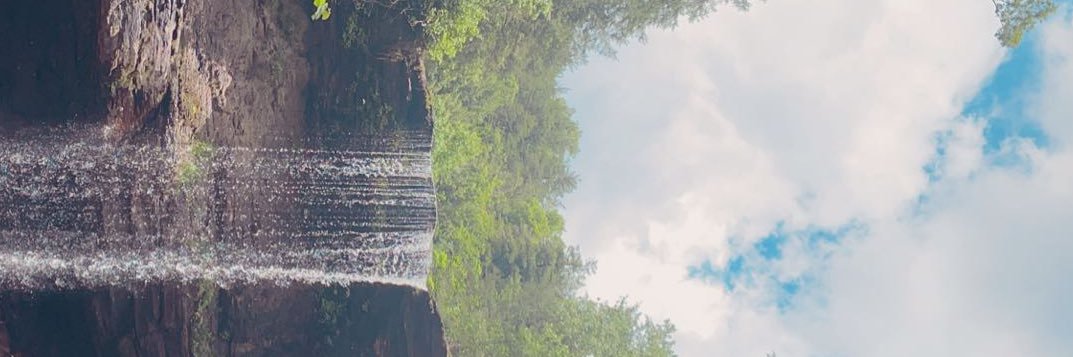 bellandillon's profile banner image