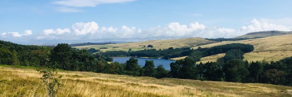 Sam_Freeman_ Profile Banner