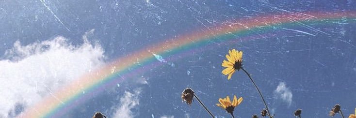 DarlingClo's profile banner image